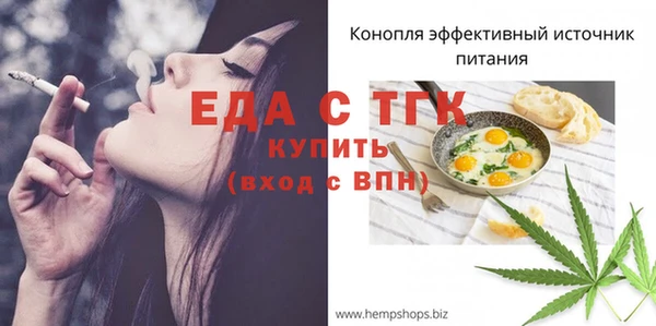 гашик Россошь