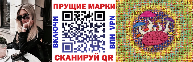 Марки NBOMe 1500мкг  мега ТОР  Карачев  продажа наркотиков 