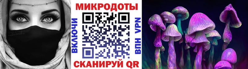 Псилоцибиновые грибы Cubensis где купить Карачев